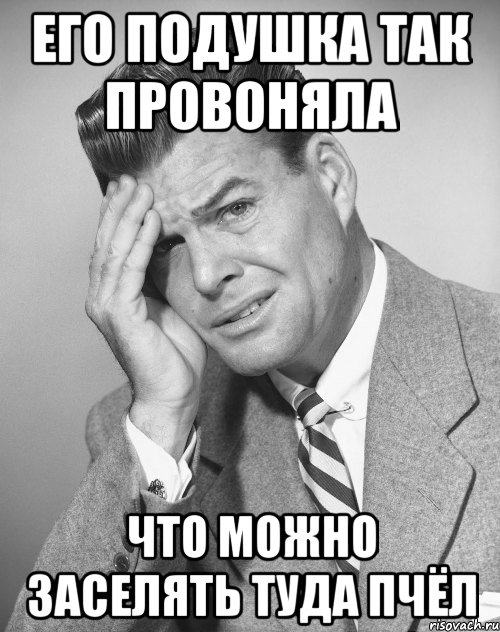 его подушка так провоняла что можно заселять туда пчёл, Мем Фейспалм 1950s