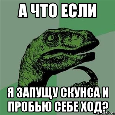 а что если я запущу скунса и пробью себе ход?, Мем Филосораптор