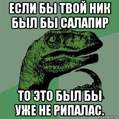 если бы твой ник был бы салапир то это был бы уже не рипалас., Мем Филосораптор