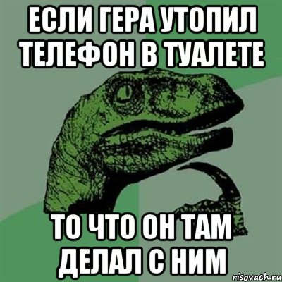 если гера утопил телефон в туалете то что он там делал с ним, Мем Филосораптор