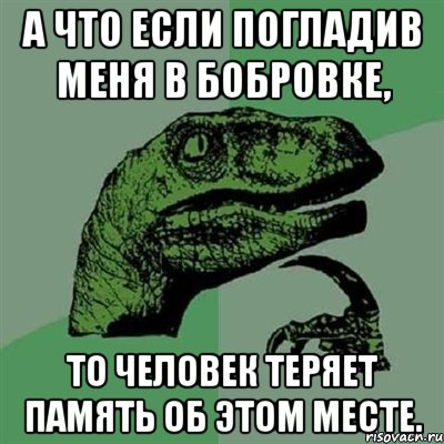 а что если погладив меня в бобровке, то человек теряет память об этом месте., Мем Филосораптор