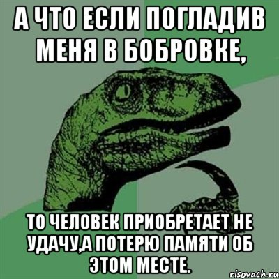 а что если погладив меня в бобровке, то человек приобретает не удачу,а потерю памяти об этом месте., Мем Филосораптор