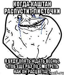 когда каштан распустит листочки я буду опять ждать весны, чтоб еще раз по смотреть как он расцветает, Мем Forever Alone