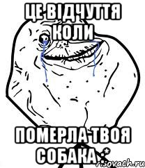 це відчуття коли померла твоя собака :*