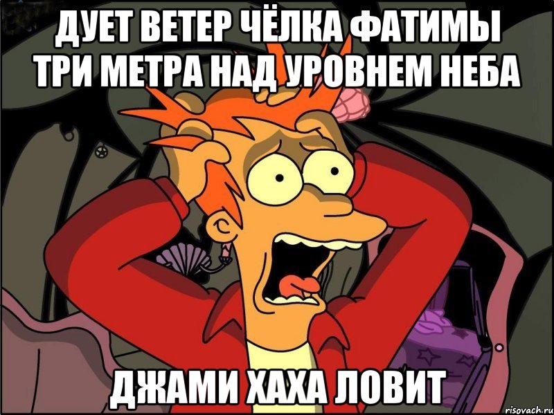 дует ветер чёлка фатимы три метра над уровнем неба джами хаха ловит, Мем Фрай в панике