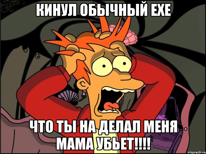 кинул обычный exe что ты на делал меня мама убьет!!!, Мем Фрай в панике