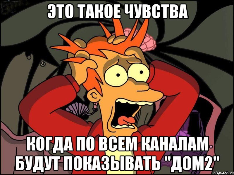 это такое чувства когда по всем каналам будут показывать "дом2", Мем Фрай в панике