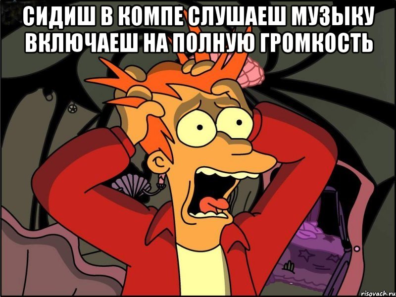 сидиш в компе слушаеш музыку включаеш на полную громкость , Мем Фрай в панике