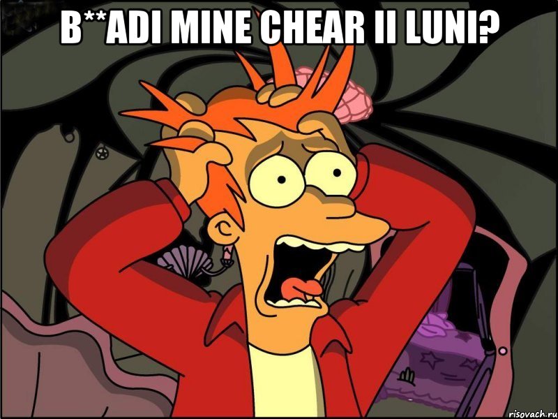 b**adi mine chear ii luni? , Мем Фрай в панике