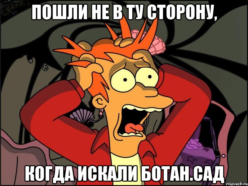 пошли не в ту сторону, когда искали ботан.сад, Мем Фрай в панике