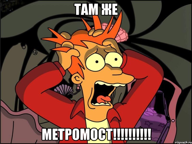 там же метромост!!!, Мем Фрай в панике