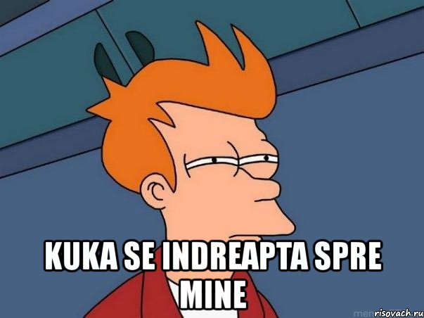  kuka se indreapta spre mine, Мем  Фрай (мне кажется или)