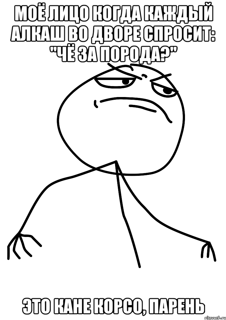 моё лицо когда каждый алкаш во дворе спросит: "чё за порода?" это кане корсо, парень, Мем fuck yea