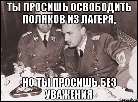 ты просишь освободить поляков из лагеря, но ты просишь без уважения, Мем гиммлер негодует