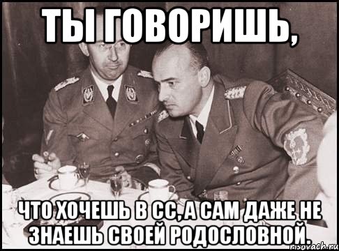 ты говоришь, что хочешь в сс, а сам даже не знаешь своей родословной., Мем гиммлер негодует