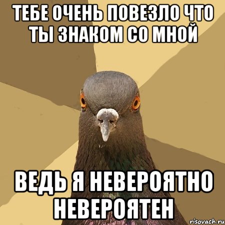 тебе очень повезло что ты знаком со мной ведь я невероятно невероятен, Мем голубь