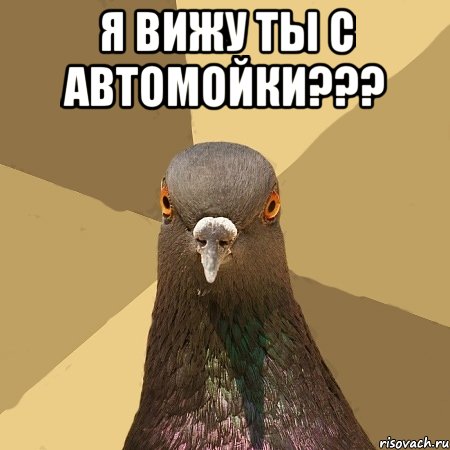 я вижу ты с автомойки??? 