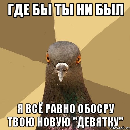 где бы ты ни был я всё равно обосру твою новую "девятку", Мем голубь