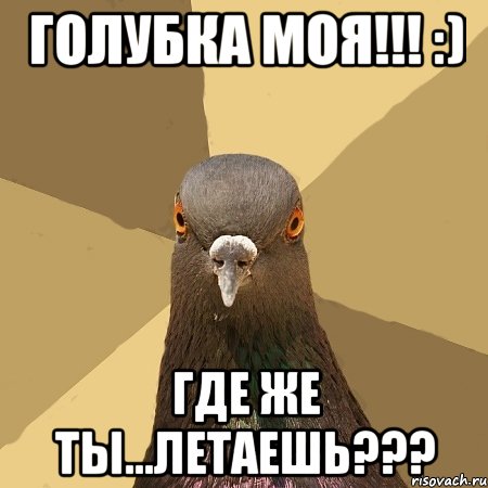 голубка моя!!! :) где же ты...летаешь???