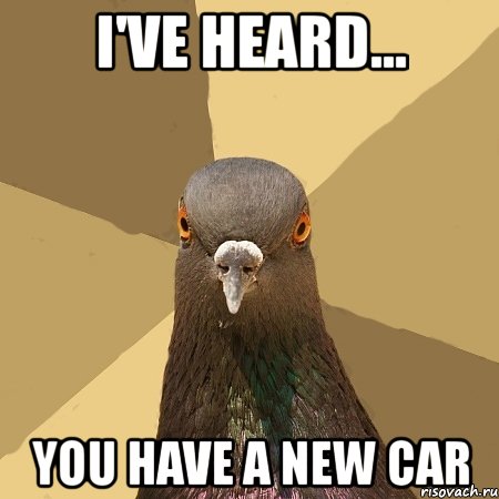 i've heard... you have a new car, Мем голубь
