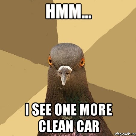 hmm... i see one more clean car, Мем голубь