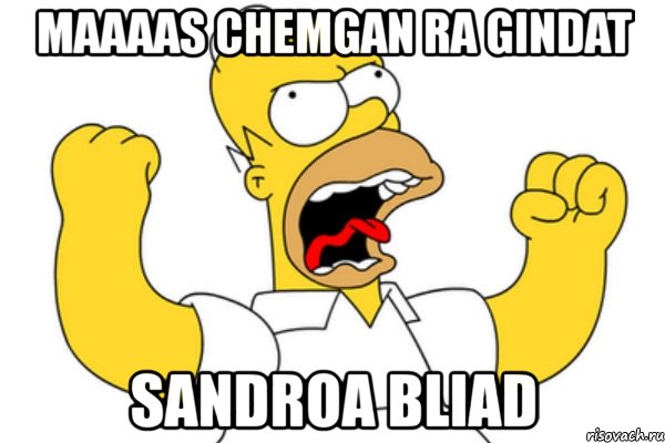 maaaas chemgan ra gindat sandroa bliad, Мем Разъяренный Гомер