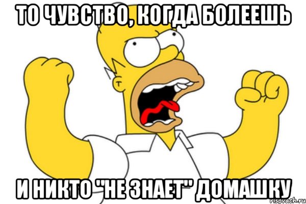 то чувство, когда болеешь и никто "не знает" домашку, Мем Разъяренный Гомер