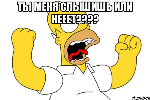 ты меня слышишь или нееет??? , Мем Разъяренный Гомер