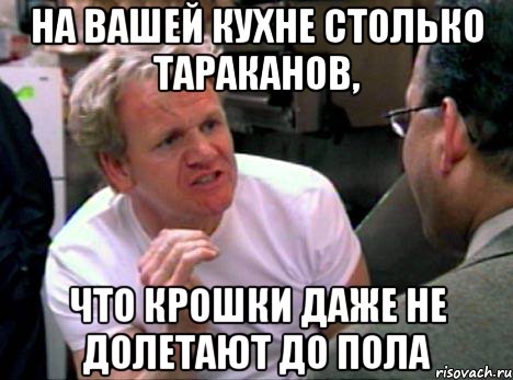 на вашей кухне столько тараканов, что крошки даже не долетают до пола