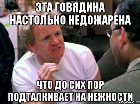 эта говядина настолько недожарена что до сих пор подталкивает на нежности, Мем Гордон Рамзи2