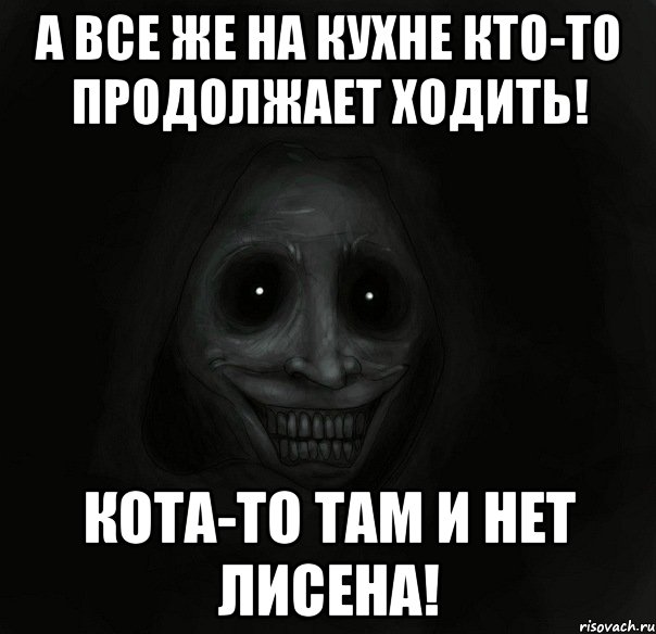 а все же на кухне кто-то продолжает ходить! кота-то там и нет лисена!, Мем Ночной гость