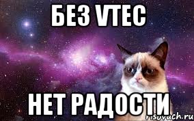 без vtec нет радости, Мем grumpy cat space