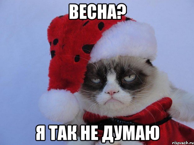 весна? я так не думаю