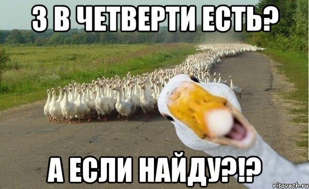 3 в четверти есть? а если найду?!?, Мем гуси