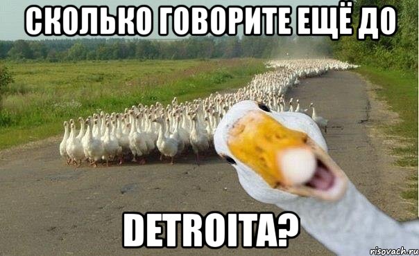 сколько говорите ещё до detroita?