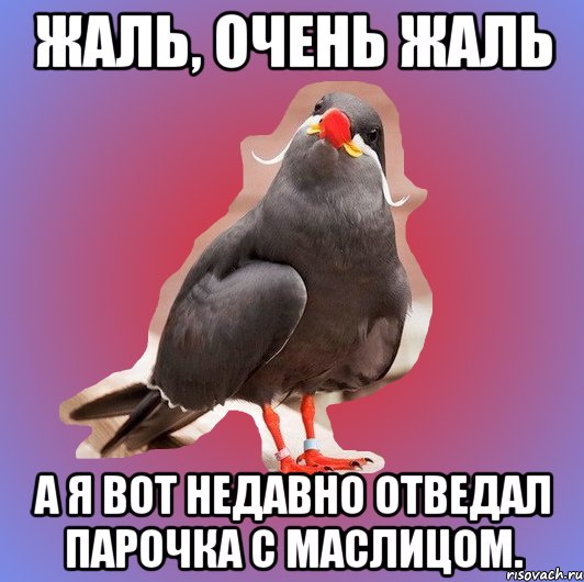 жаль, очень жаль а я вот недавно отведал парочка с маслицом., Мем харяпатка