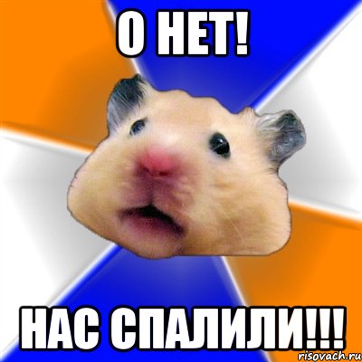 о нет! нас спалили!!!, Мем Хомяк