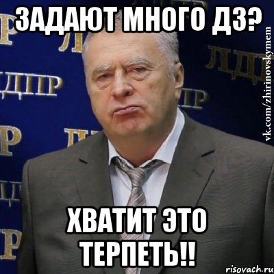 задают много дз? хватит это терпеть!!, Мем Хватит это терпеть (Жириновский)