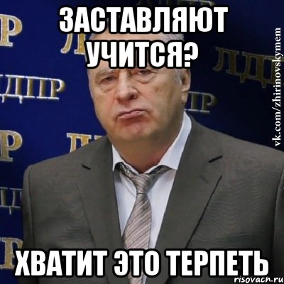 заставляют учится? хватит это терпеть, Мем Хватит это терпеть (Жириновский)