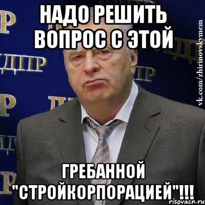 надо решить вопрос с этой гребанной "стройкорпорацией"!!!, Мем Хватит это терпеть (Жириновский)