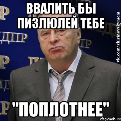 ввалить бы пизлюлей тебе "поплотнее", Мем Хватит это терпеть (Жириновский)