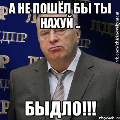 а не пошёл бы ты нахуй .. быдло!!!, Мем Хватит это терпеть (Жириновский)