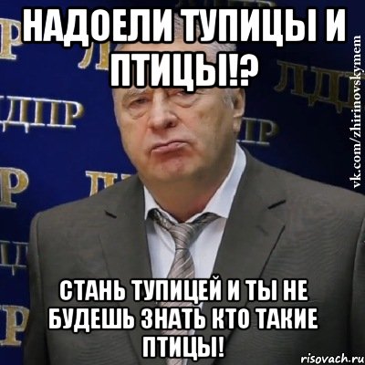 надоели тупицы и птицы!? стань тупицей и ты не будешь знать кто такие птицы!, Мем Хватит это терпеть (Жириновский)