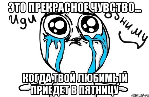 это прекрасное чувство... когда твой любимый приедет в пятницу, Мем Иди обниму