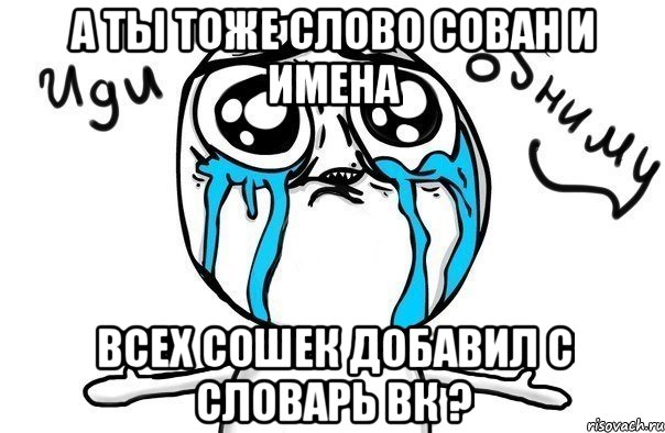 а ты тоже слово сован и имена всех сошек добавил с словарь вк ?, Мем Иди обниму