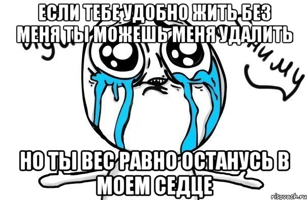 если тебе удобно жить без меня ты можешь меня удалить но ты вес равно останусь в моем седце, Мем Иди обниму