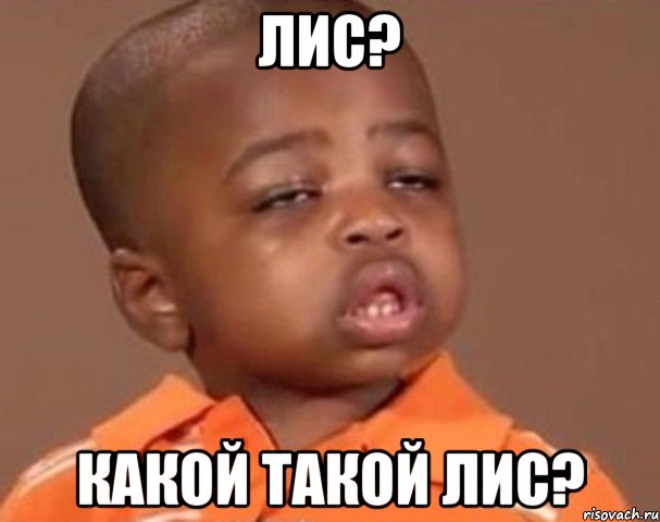 лис? какой такой лис?, Мем  Какой пацан (негритенок)