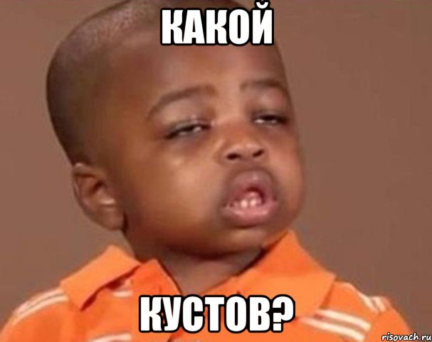какой кустов?, Мем  Какой пацан (негритенок)