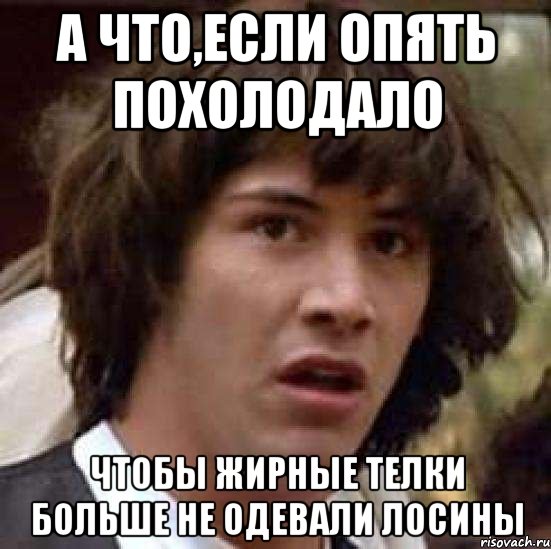 а что,если опять похолодало чтобы жирные телки больше не одевали лосины, Мем А что если (Киану Ривз)