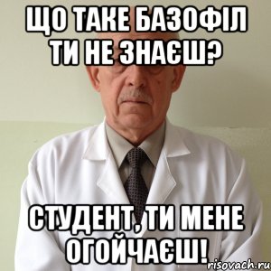 що таке базофіл ти не знаєш? студент, ти мене огойчаєш!, Мем кицраи